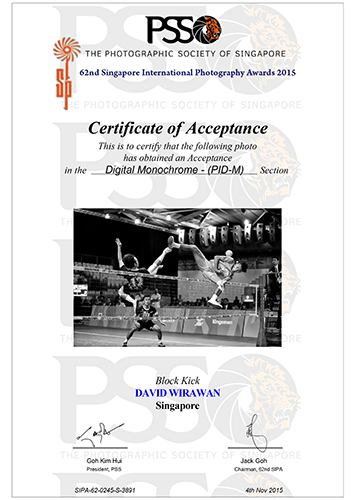 PSS_Certificate BW Block Kick