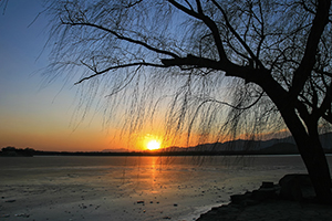 New Day