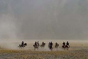 Rangers